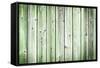 The Old Green Wood Texture with Natural Patterns-Madredus-Framed Stretched Canvas