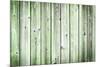 The Old Green Wood Texture with Natural Patterns-Madredus-Mounted Premium Photographic Print