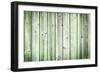 The Old Green Wood Texture with Natural Patterns-Madredus-Framed Photographic Print