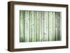 The Old Green Wood Texture with Natural Patterns-Madredus-Framed Photographic Print