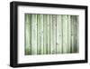 The Old Green Wood Texture with Natural Patterns-Madredus-Framed Photographic Print