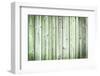 The Old Green Wood Texture with Natural Patterns-Madredus-Framed Photographic Print