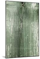 The Old Green Wood Texture with Natural Patterns-Madredus-Mounted Photographic Print