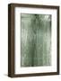 The Old Green Wood Texture with Natural Patterns-Madredus-Framed Photographic Print