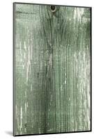 The Old Green Wood Texture with Natural Patterns-Madredus-Mounted Photographic Print