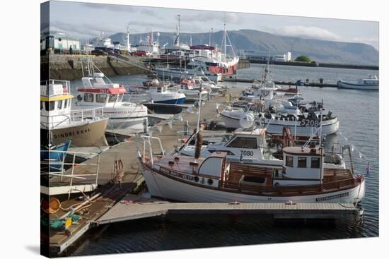 The Old Harbour, Reykjavik, Iceland, Polar Regions-Ethel Davies-Stretched Canvas