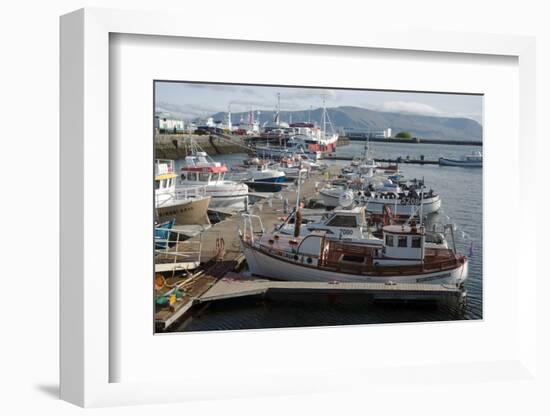 The Old Harbour, Reykjavik, Iceland, Polar Regions-Ethel Davies-Framed Photographic Print