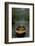 The Old Lake-Carlos Casamayor-Framed Giclee Print