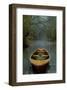 The Old Lake-Carlos Casamayor-Framed Art Print