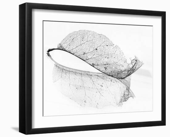 The Old Leaf-Katarina Holmström-Framed Photographic Print