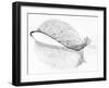 The Old Leaf-Katarina Holmström-Framed Photographic Print