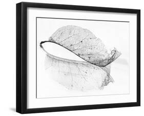 The Old Leaf-Katarina Holmström-Framed Photographic Print