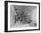 The Old Library, Wells Cathedral, Somerset-Frederick Henry Evans-Framed Photographic Print