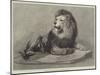 The Old Lion of the Zoological Society's Collection-null-Mounted Giclee Print