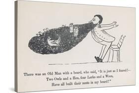 The Old Man Whose Beard is Used as a Nesting Ground for Owls Hens Larks and Wrens-Edward Lear-Stretched Canvas