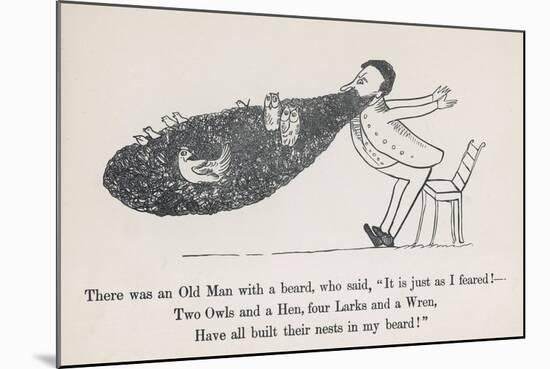 The Old Man Whose Beard is Used as a Nesting Ground for Owls Hens Larks and Wrens-Edward Lear-Mounted Art Print