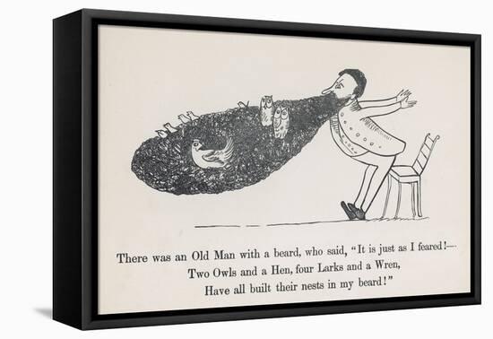 The Old Man Whose Beard is Used as a Nesting Ground for Owls Hens Larks and Wrens-Edward Lear-Framed Stretched Canvas