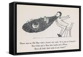 The Old Man Whose Beard is Used as a Nesting Ground for Owls Hens Larks and Wrens-Edward Lear-Framed Stretched Canvas