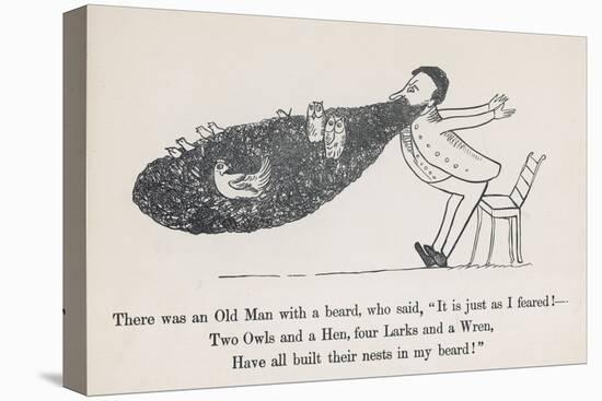 The Old Man Whose Beard is Used as a Nesting Ground for Owls Hens Larks and Wrens-Edward Lear-Stretched Canvas