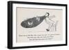 The Old Man Whose Beard is Used as a Nesting Ground for Owls Hens Larks and Wrens-Edward Lear-Framed Art Print