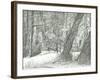 The old metal bridge, Bramhall park, 2004-Vincent Alexander Booth-Framed Premium Giclee Print