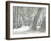 The old metal bridge, Bramhall park, 2004-Vincent Alexander Booth-Framed Giclee Print