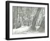 The old metal bridge, Bramhall park, 2004-Vincent Alexander Booth-Framed Giclee Print