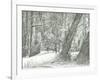 The old metal bridge, Bramhall park, 2004-Vincent Alexander Booth-Framed Giclee Print