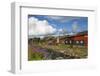 The Old Mining Town of Roros, Sor-Trondelag County, Gauldal District, Norway, Scandinavia, Europe-Doug Pearson-Framed Photographic Print