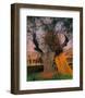 The Old Olive Tree-Félix Vallotton-Framed Giclee Print