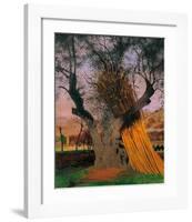 The Old Olive Tree-Félix Vallotton-Framed Giclee Print