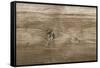 The Old Paint Wood Texture with Natural Patterns-Madredus-Framed Stretched Canvas