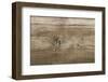 The Old Paint Wood Texture with Natural Patterns-Madredus-Framed Photographic Print