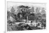 The Old Physic Garden, Chelsea, 1890-null-Framed Giclee Print