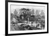 The Old Physic Garden, Chelsea, 1890-null-Framed Giclee Print