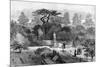 The Old Physic Garden, Chelsea, 1890-null-Mounted Giclee Print