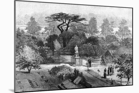 The Old Physic Garden, Chelsea, 1890-null-Mounted Giclee Print