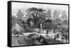 The Old Physic Garden, Chelsea, 1890-null-Framed Stretched Canvas