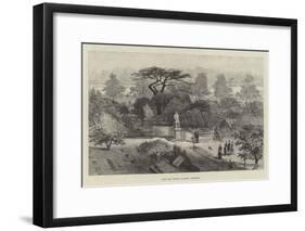 The Old Physic Garden, Chelsea-null-Framed Giclee Print