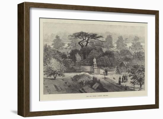 The Old Physic Garden, Chelsea-null-Framed Giclee Print