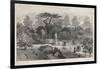 The Old Physick Garden Chelsea London-null-Framed Art Print