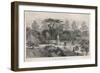 The Old Physick Garden Chelsea London-null-Framed Art Print