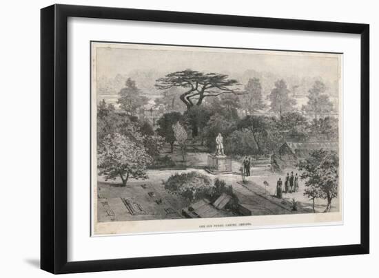 The Old Physick Garden Chelsea London-null-Framed Art Print