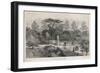 The Old Physick Garden Chelsea London-null-Framed Art Print