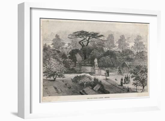 The Old Physick Garden Chelsea London-null-Framed Art Print