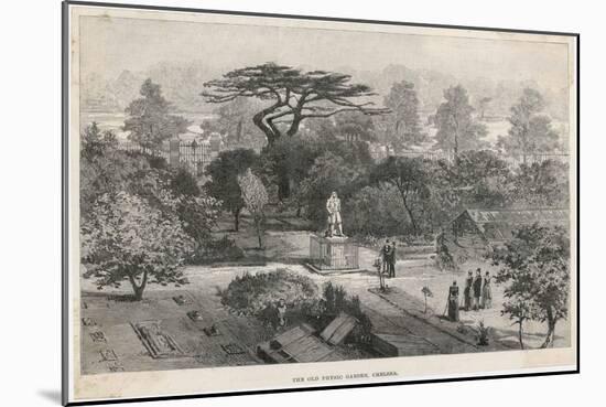 The Old Physick Garden Chelsea London-null-Mounted Art Print