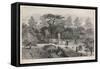 The Old Physick Garden Chelsea London-null-Framed Stretched Canvas