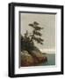 The Old Pine, Darien, Connecticut, 1872-John Frederick Kensett-Framed Giclee Print