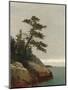 The Old Pine, Darien, Connecticut, 1872-John Frederick Kensett-Mounted Giclee Print