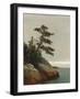 The Old Pine, Darien, Connecticut, 1872-John Frederick Kensett-Framed Giclee Print